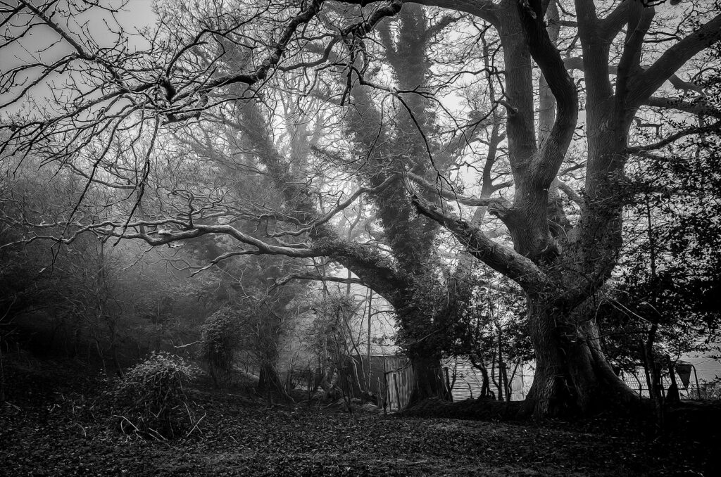 Halloween Gifts for Teenagers