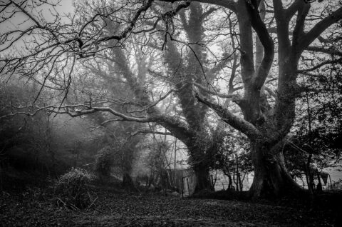 Halloween Gifts for Teenagers